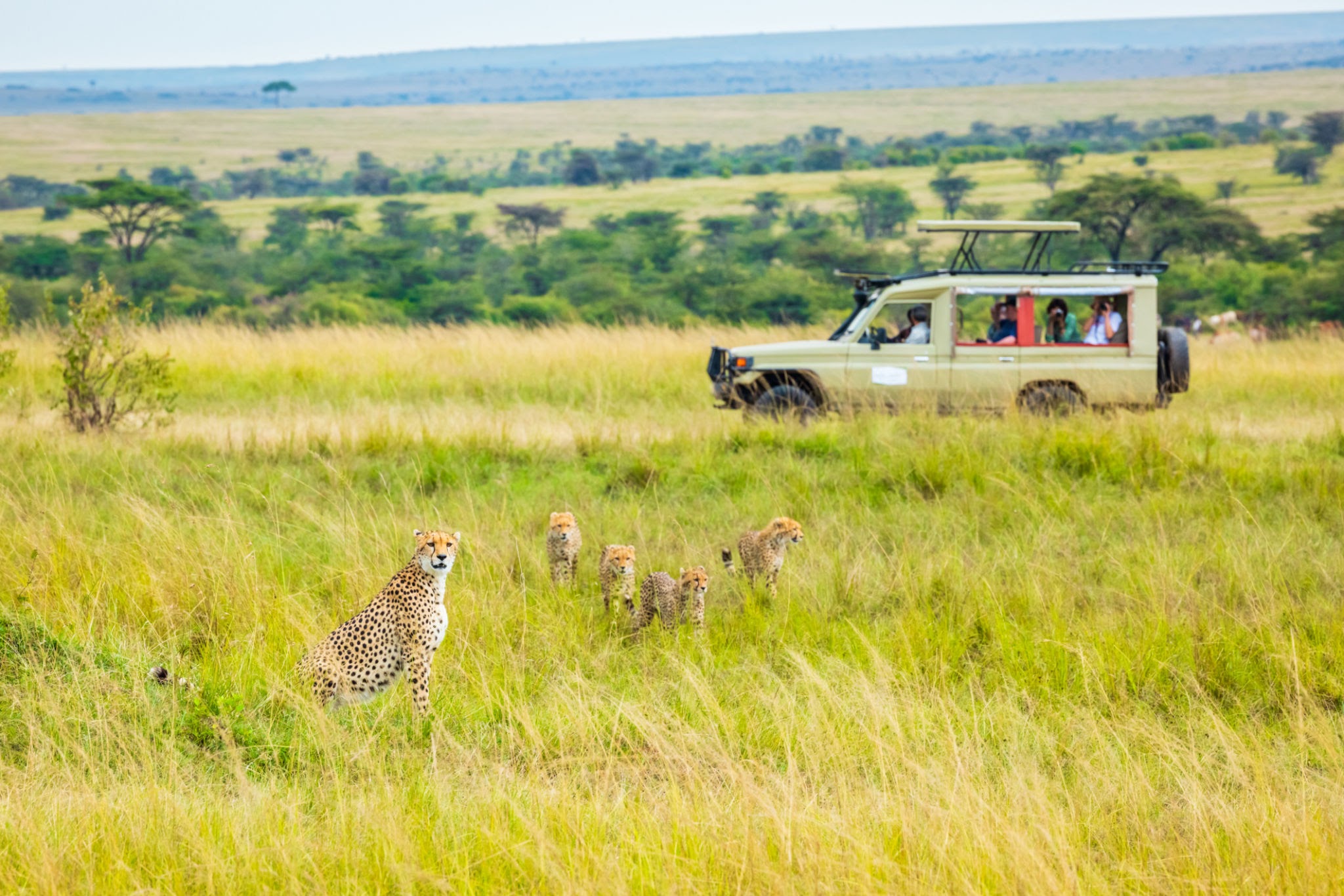 Maasai Mara Safari